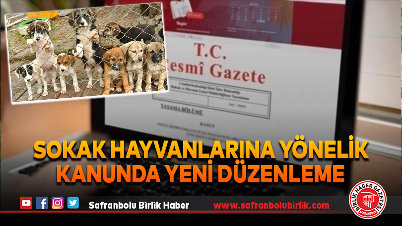 Hayvanları Koruma Kanunu’nda Değişikliğe Gidildi