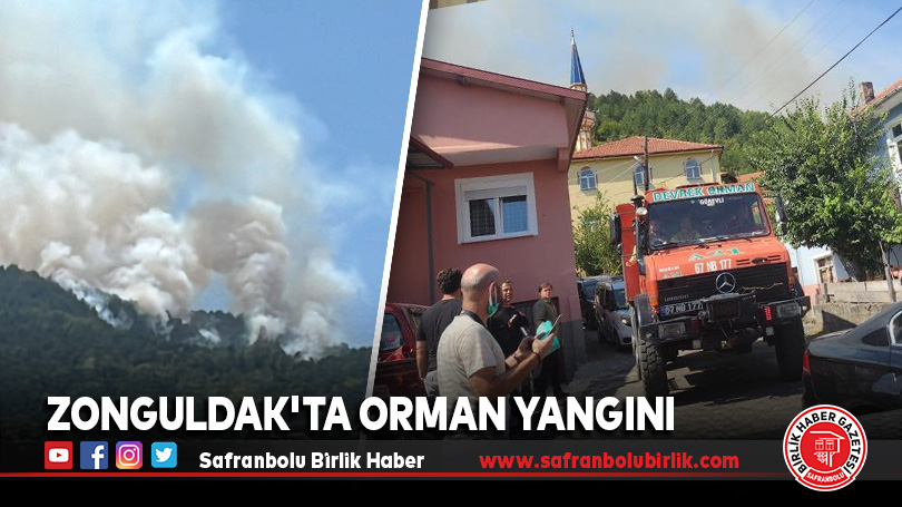 Zonguldak’ta orman yangını