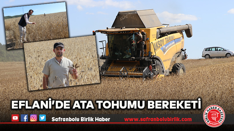 Eflani’de Ata Tohumu Bereketi