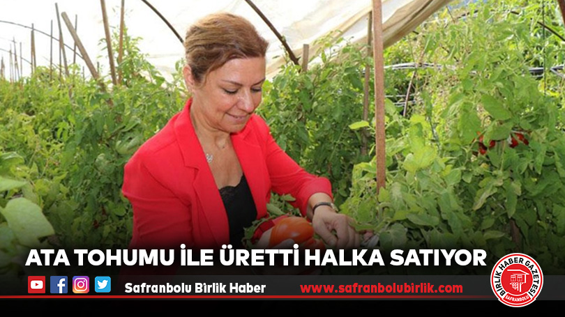 ATA TOHUMU İLE ÜRETTİ HALKA SATIYOR