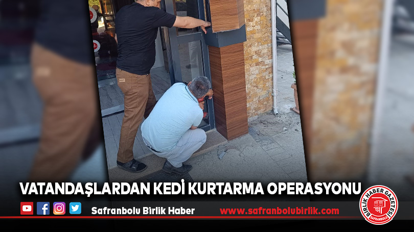Vatandaşlardan Kedi Kurtarma Operasyonu