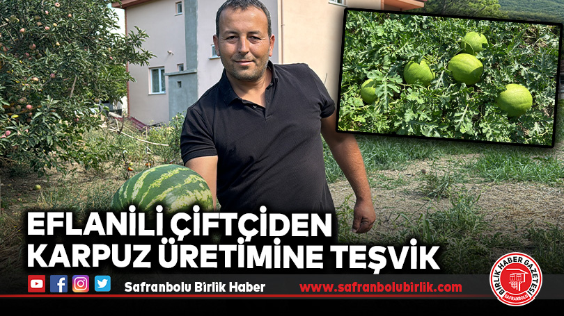 Eflanili Çiftçiden Karpuz Üretimine Teşvik