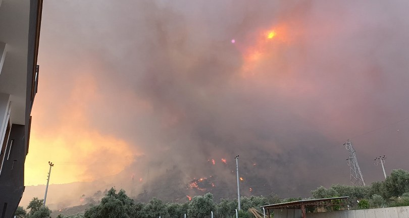 Aydın’daki yangın rüzgarın etkisi ile büyüdü