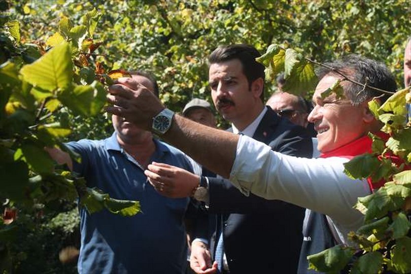 Mudurnu’da Fındık Hasat Şenliği düzenlendi