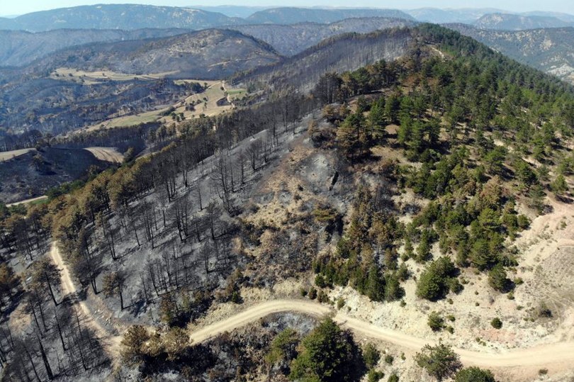 Bir yanda yeşil, diğer yanda kül