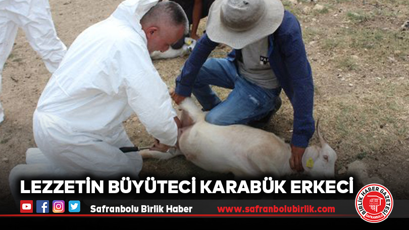 Lezzetin Büyüteci Karabük Erkeci