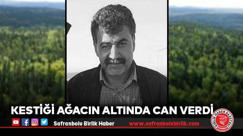 Kestiği ağacın altında can verdi