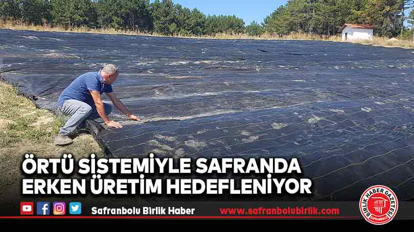 Örtü Sistemiyle Safranda Erken Üretim Hedefleniyor