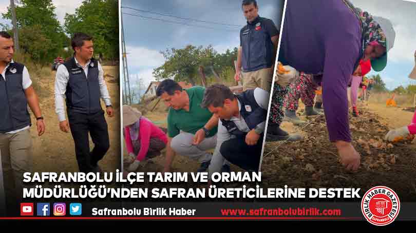 Safranbolu İlçe Tarım ve Orman Müdürlüğü’nden Safran Üreticilerine Destek