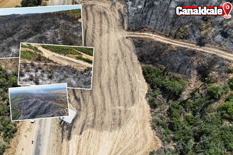 Tarihi alanda 700 hektarlık alanın etkilendiği orman yangının çıkış noktası dron ile görüntülendi