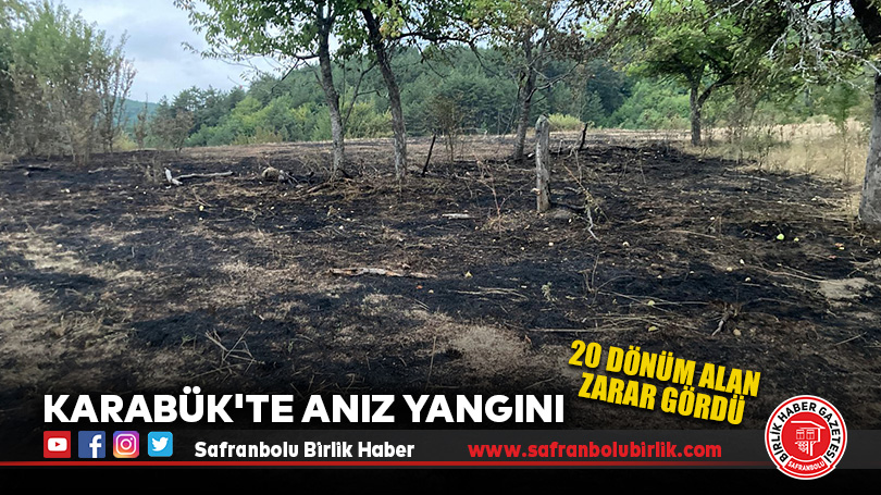 Karabük’te Anız Yangını