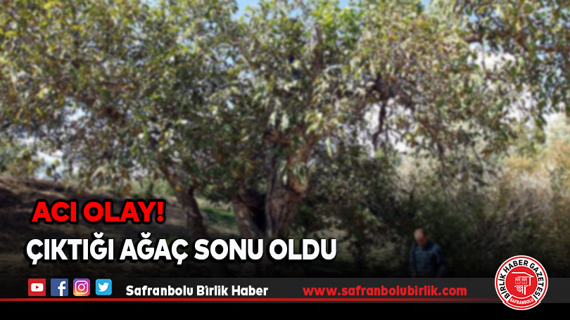 Çıktığı Ağaç Sonu Oldu