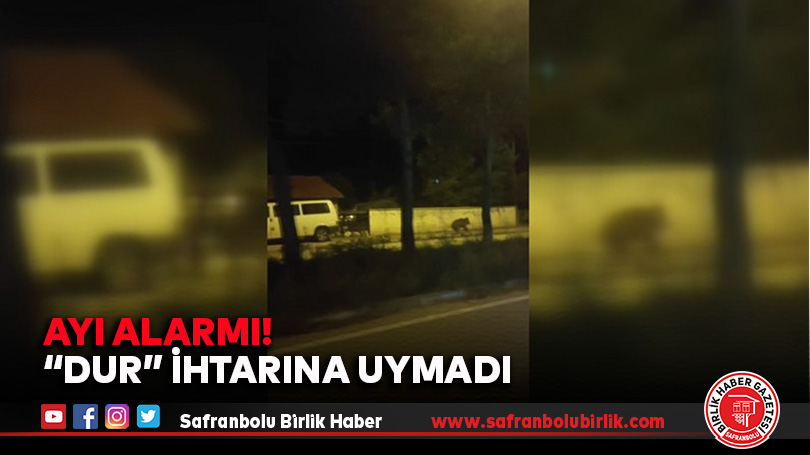 İlçe Merkezinde Şaşırtan Görüntü