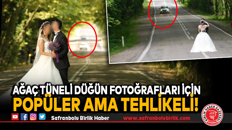 Ağaç Tüneli Düğün Fotoğrafları İçin Popüler Ama Tehlikeli!