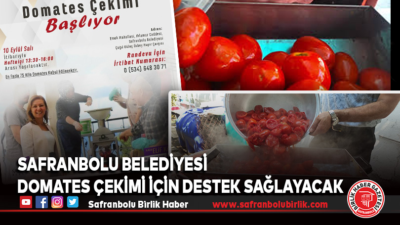 Safranbolu Belediyesi Domates Çekimi İçin Destek Sağlayacak
