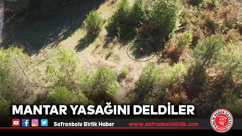 Mantar Yasağını Deldiler