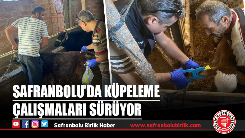Safranbolu’da Küpeleme Çalışmaları Sürüyor