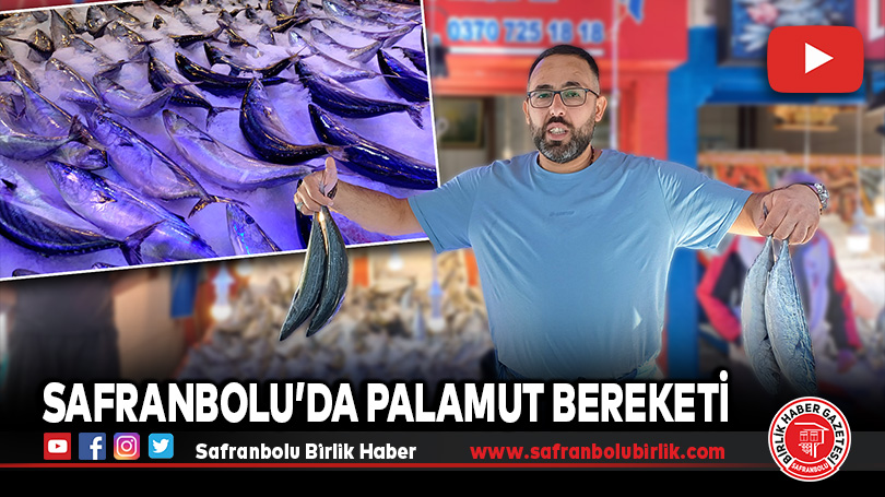 Safranbolu’da Palamut Bereketi