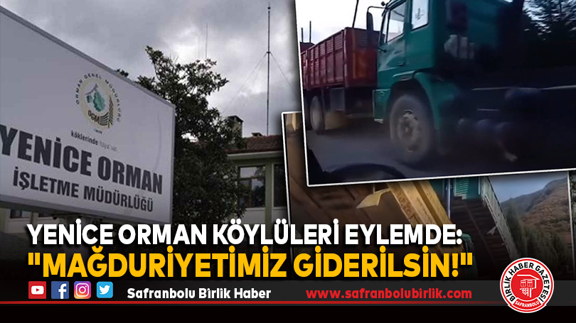 Yenice Orman Köylüleri Eylemde: “Mağduriyetimiz Giderilsin!”