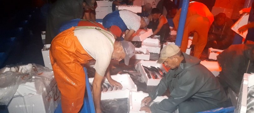 Bu sene balığa doyacağız