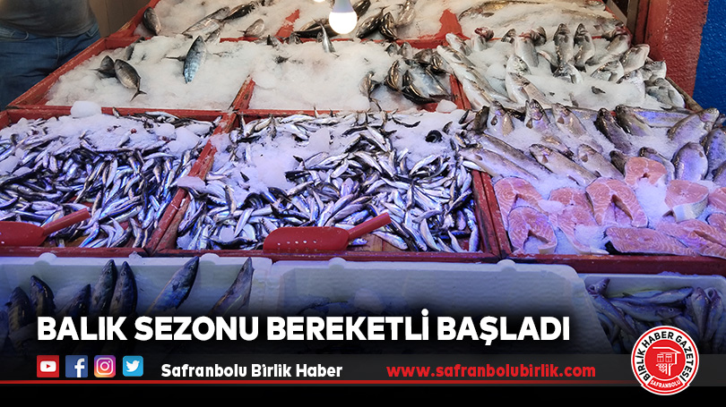 Balık Sezonu Bereketli Başladı