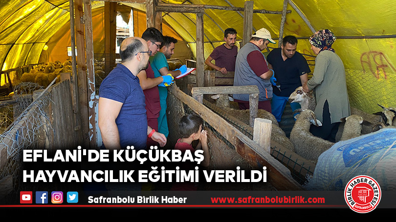 Eflani’de küçükbaş hayvancılık eğitimi verildi