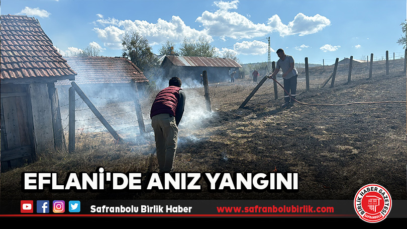 Eflani’de Anız Yangını