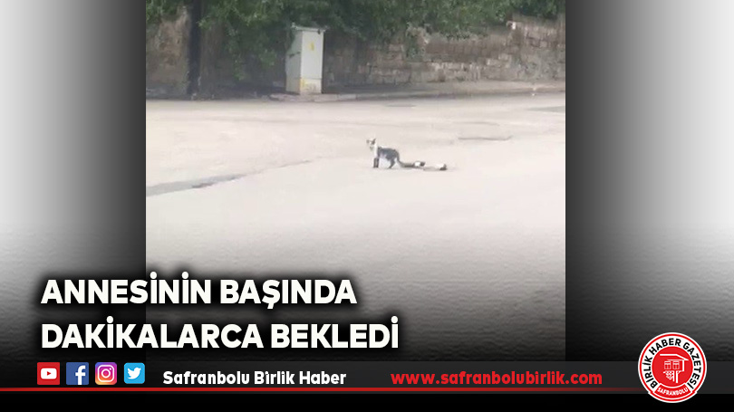 Annesinin Başında Dakikalarca Bekledi