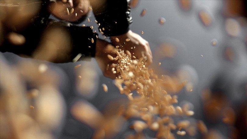 Tohumculuk sektöründe planlı üretim planlaması