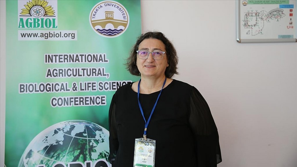 Aşırı gübreleme bitkilere çok zararlı