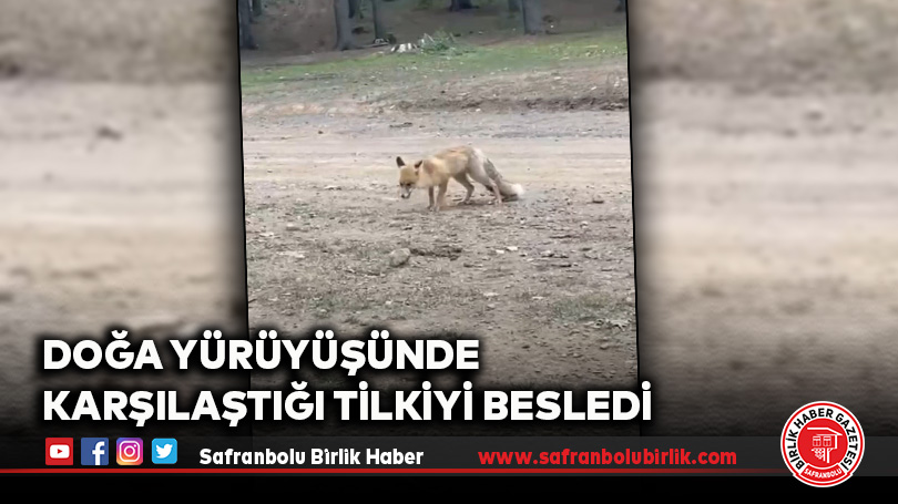 Doğa Yürüyüşünde Karşılaştığı Tilkiyi Besledi
