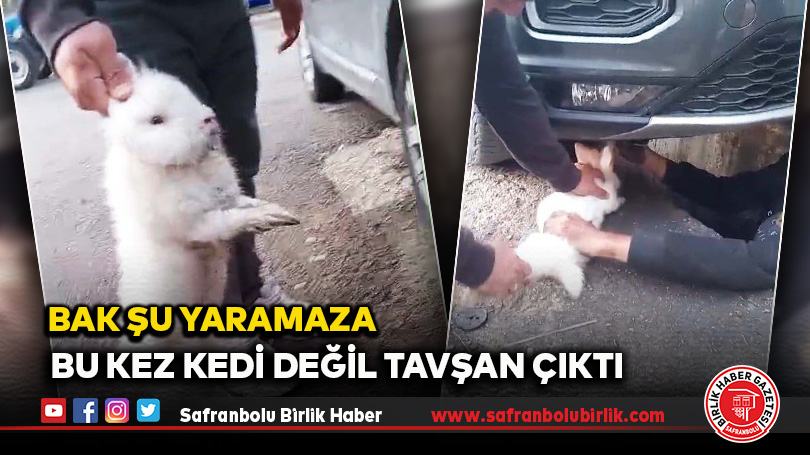 Araba Motorundan Bu Kez Tavşan Çıktı