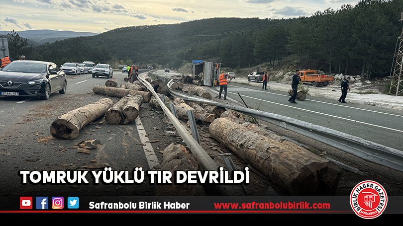 Tomruk Yüklü Tır Devrildi