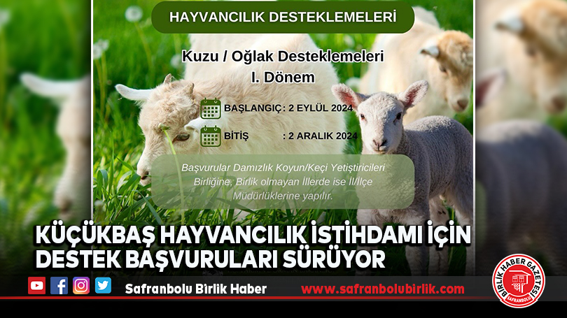 Küçükbaş Hayvancılık İstihdamı İçin Destek Başvuruları Sürüyor