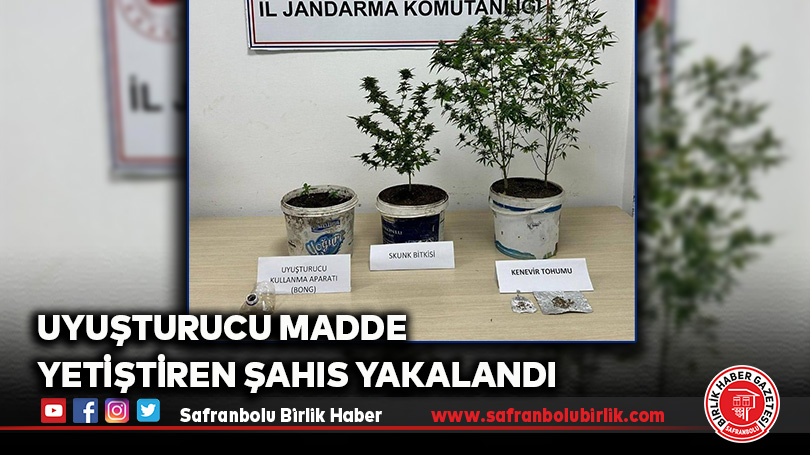 Uyuşturucu Madde Yetiştiren Şahıs Yakalandı