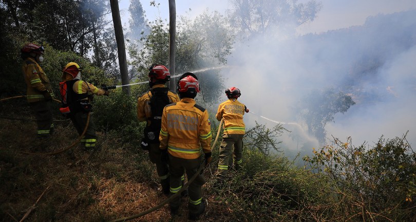 Ekvador’da orman yangını nedeniyle olağanüstü hal ilan edildi