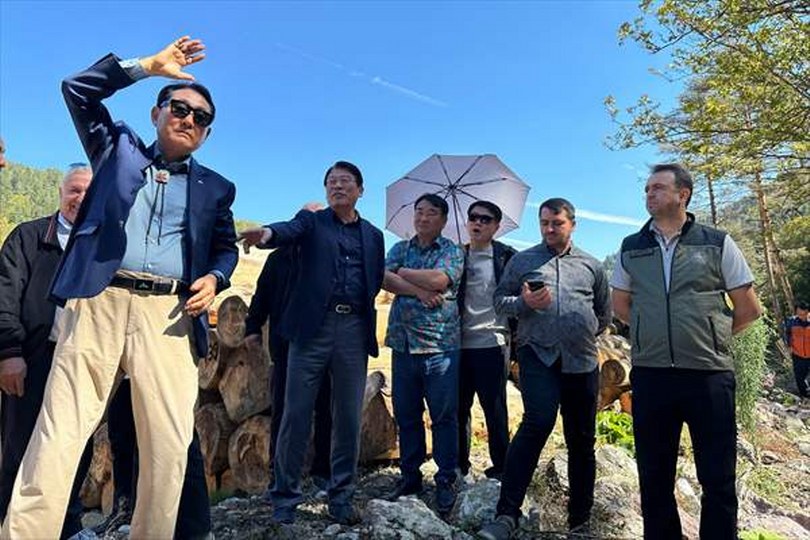 Güney Koreli ormancılar, Bolu’da incelemelerde bulundu
