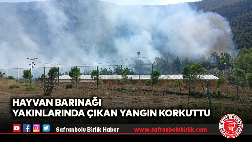 Hayvan Barınağı Yakınlarında Çıkan Yangın Korkuttu