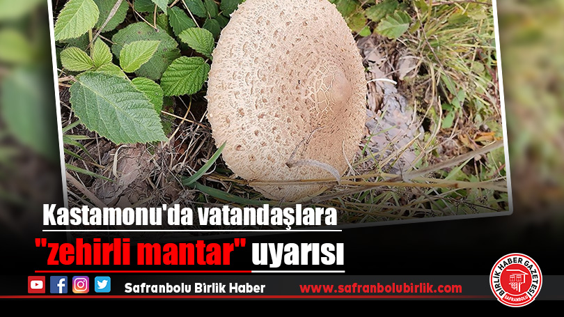 Kastamonu’da vatandaşlara “zehirli mantar” uyarısı
