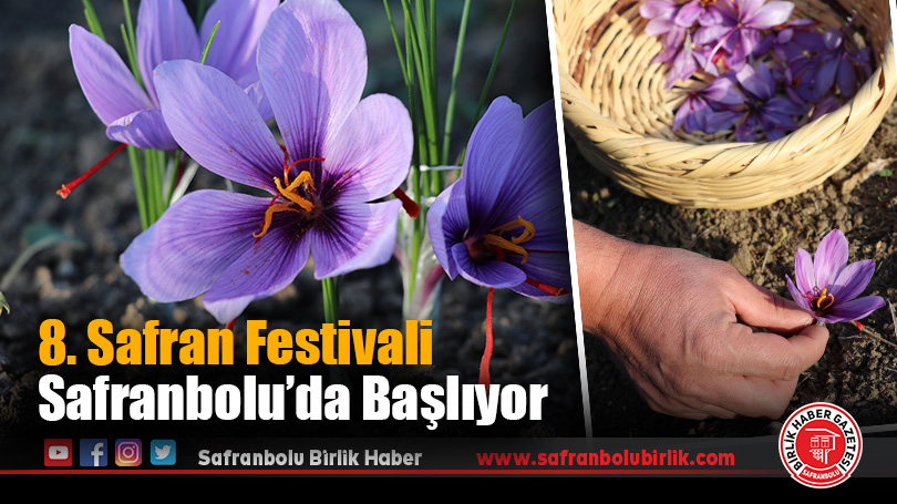 8. Safran Festivali Safranbolu’da Başlıyor
