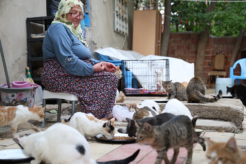 Ömrünü kedilere adadı: 11 yıldır 70 kediye bakıyor
