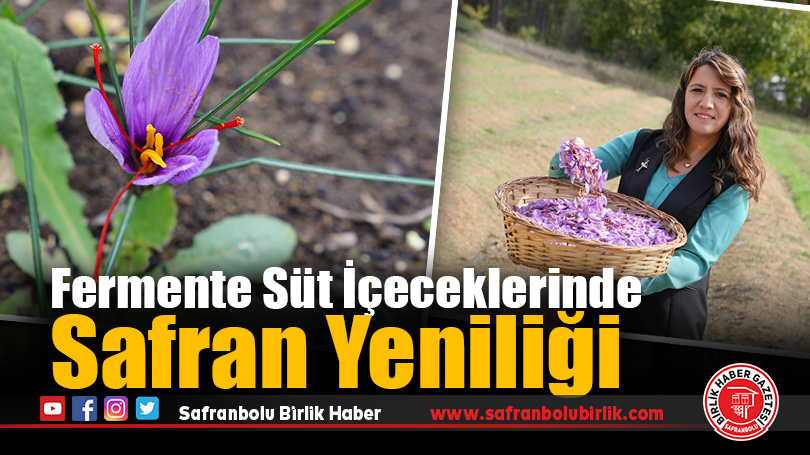 TÜBİTAK’tan Gıda İsrafını Azaltacak Projeye Destek