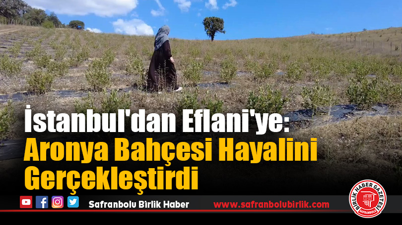 İstanbul’dan Eflani’ye: Aronya Bahçesi Hayalini Gerçekleştirdi