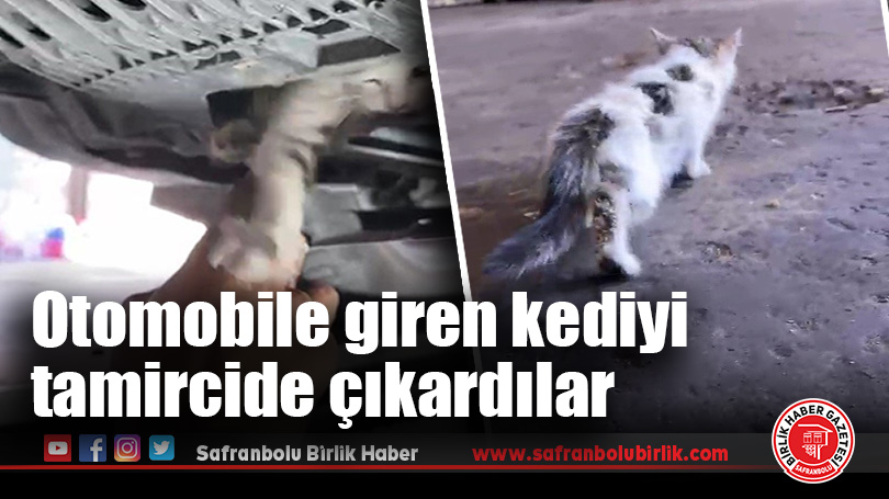 Otomobile giren kediyi tamircide çıkardılar