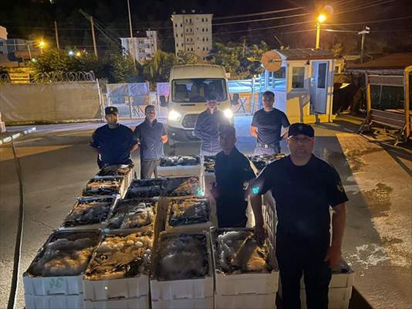 İnebolu’da Avcılık Denetimi