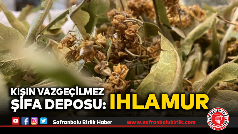 Safranbolu’da Ihlamura Yoğun İlgi