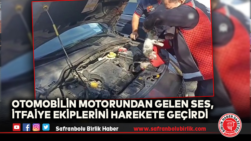 Otomobil Motoruna Sıkışan Kedi Yavrusu Kurtarıldı