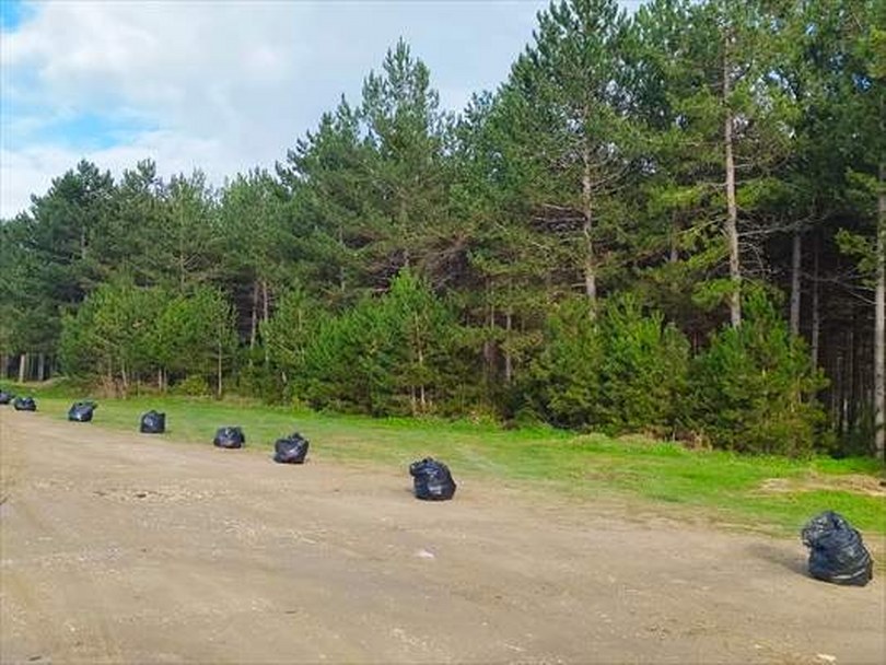 Kastamonu Belediyesi ormanlık alanlarda temizlik yaptı