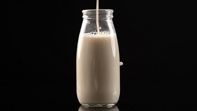 İnek sütü miktarı ağustosta arttı