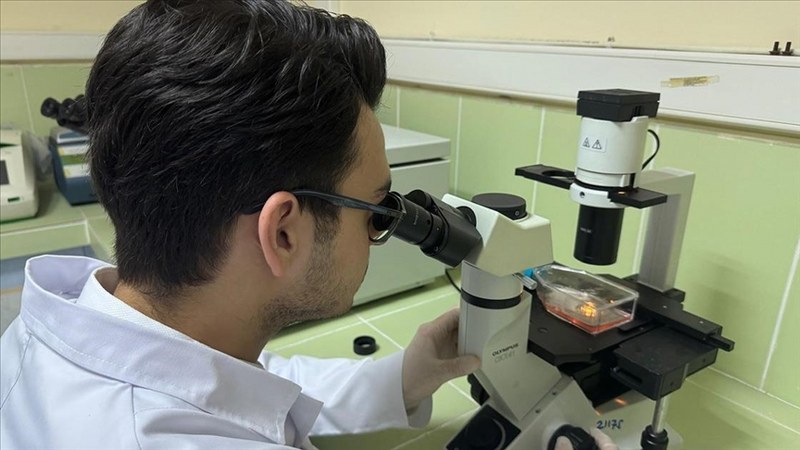 Kandan meme kanseri kök hücreleri tespit edilecek